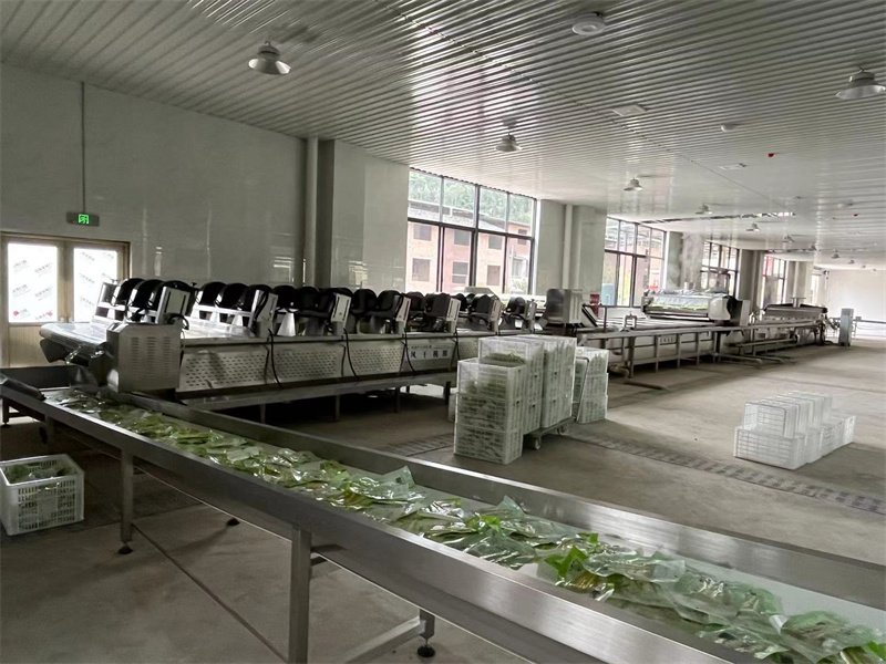 泡椒竹筍巴氏滅菌、冷卻、風(fēng)干流水線(xiàn)